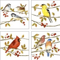 Framed 'Birds & Berries 4 Piece Art Print Set' border=