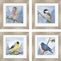 Framed 'Eastern Songbird 4 Piece Framed Art Print Set' border=