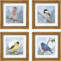 Framed 'Eastern Songbird 4 Piece Framed Art Print Set' border=