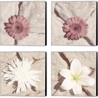 Framed 'Stone Blossom 4 Piece Canvas Print Set' border=