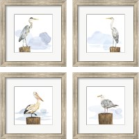 Framed 'Birds of the Coast 4 Piece Framed Art Print Set' border=