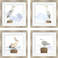 Framed 'Birds of the Coast 4 Piece Framed Art Print Set' border=