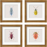 Framed 'Adorning Coleoptera 4 Piece Framed Art Print Set' border=