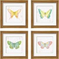Framed 'White Barn Butterflies 4 Piece Framed Art Print Set' border=
