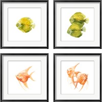 Framed 'Discus Fish 4 Piece Framed Art Print Set' border=