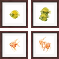 Framed 'Discus Fish 4 Piece Framed Art Print Set' border=