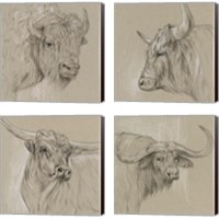 Framed 'Longhorn Sketch 4 Piece Canvas Print Set' border=