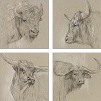 Framed 'Longhorn Sketch 4 Piece Art Print Set' border=