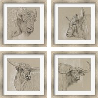 Framed 'Longhorn Sketch 4 Piece Framed Art Print Set' border=