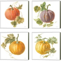 Framed 'Floursack Autumn on White 4 Piece Canvas Print Set' border=