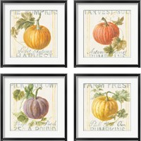 Framed 'Floursack Autumn 4 Piece Framed Art Print Set' border=