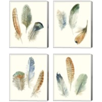 Framed 'Watercolor Feathers 4 Piece Canvas Print Set' border=