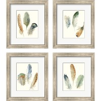 Framed 'Watercolor Feathers 4 Piece Framed Art Print Set' border=