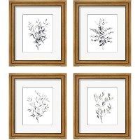 Framed 'Paynes Grey Botanicals 4 Piece Framed Art Print Set' border=