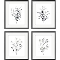 Framed 'Paynes Grey Botanicals 4 Piece Framed Art Print Set' border=