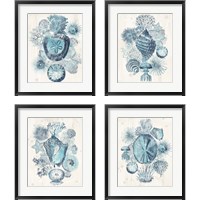 Framed 'Coastal Melange 4 Piece Framed Art Print Set' border=