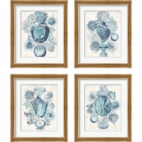 Framed 'Coastal Melange 4 Piece Framed Art Print Set' border=