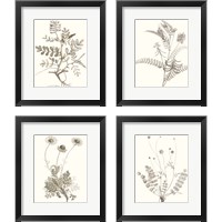 Framed 'Neutral Botanical Study 4 Piece Framed Art Print Set' border=