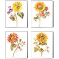 Framed 'Floursack Autumn on White 4 Piece Canvas Print Set' border=