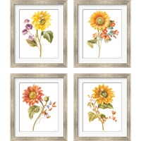 Framed 'Floursack Autumn on White 4 Piece Framed Art Print Set' border=