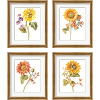 Framed 'Floursack Autumn on White 4 Piece Framed Art Print Set' border=