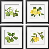 Framed 'Citrus Garden Shiplap 4 Piece Framed Art Print Set' border=