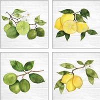 Framed 'Citrus Garden Shiplap 4 Piece Art Print Set' border=