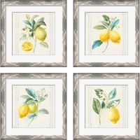 Framed 'Floursack Lemons Sq Navy 4 Piece Framed Art Print Set' border=