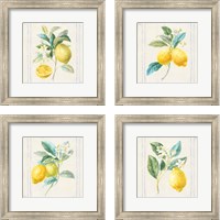 Framed 'Floursack Lemons Sq Navy 4 Piece Framed Art Print Set' border=