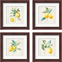 Framed 'Floursack Lemons Sq Navy 4 Piece Framed Art Print Set' border=