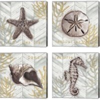 Framed 'Gray Gold Chevron Sea Life 4 Piece Canvas Print Set' border=