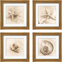 Framed 'Il Oceano 4 Piece Framed Art Print Set' border=