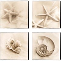 Framed 'Il Oceano 4 Piece Canvas Print Set' border=