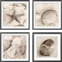 Framed 'La Mer 4 Piece Framed Art Print Set' border=