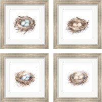 Framed 'Bird Life 4 Piece Framed Art Print Set' border=