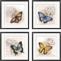 Framed 'Shadow Box Butterfly 4 Piece Framed Art Print Set' border=