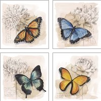 Framed 'Shadow Box Butterfly 4 Piece Art Print Set' border=