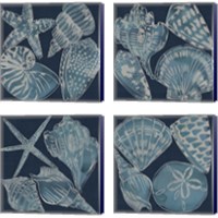 Framed 'Marine Shells 4 Piece Canvas Print Set' border=