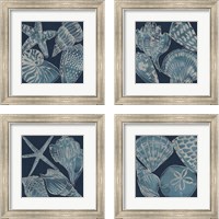 Framed 'Marine Shells 4 Piece Framed Art Print Set' border=