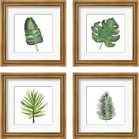 Framed 'Leaves of the Tropics  4 Piece Framed Art Print Set' border=