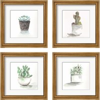 Framed 'Watercolor Cactus Still Life 4 Piece Framed Art Print Set' border=