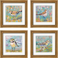 Framed 'Coastal Plover 4 Piece Framed Art Print Set' border=