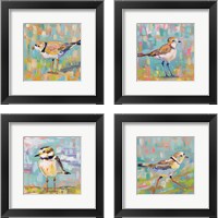 Framed 'Coastal Plover 4 Piece Framed Art Print Set' border=