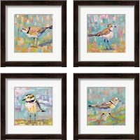 Framed 'Coastal Plover 4 Piece Framed Art Print Set' border=