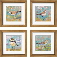 Framed 'Coastal Plover 4 Piece Framed Art Print Set' border=