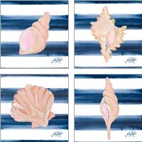 Framed 'Nautical Shell 4 Piece Art Print Set' border=