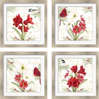 Framed 'Merry Amaryllis 4 Piece Framed Art Print Set' border=