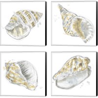 Framed 'Citron Shell Sketch 4 Piece Canvas Print Set' border=