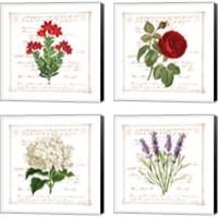 Framed 'Floral 4 Piece Canvas Print Set' border=