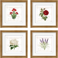 Framed 'Floral 4 Piece Framed Art Print Set' border=